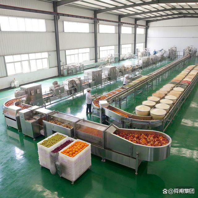 果蔬粉加工生产线 现代食品工业的高效解决方案